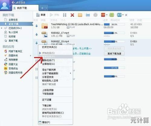 迅雷磁力下载高效技巧:提升资源获取速度的实用方法分享 迅雷磁力下载高效技巧:提升资源获取速度的实用方法分享