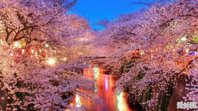 想体验自由高中生活?樱花校园高校日记》的3D校园冒险你怎能错过? 想体验自由高中生活?樱花校园高校日记》的3D校园冒险你怎能错过?