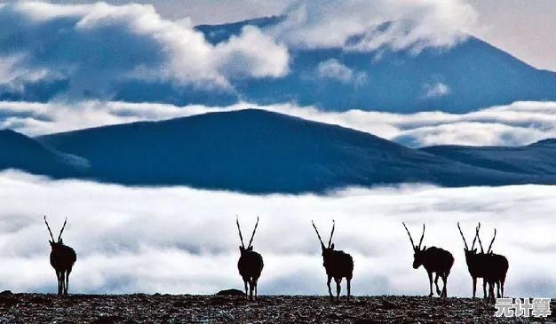 射击新手也想体验萤火突击国际服?靶场练枪后再战禁区,你敢来挑战吗? 射击新手也想体验萤火突击国际服?靶场练枪后再战禁区,你敢来挑战吗?