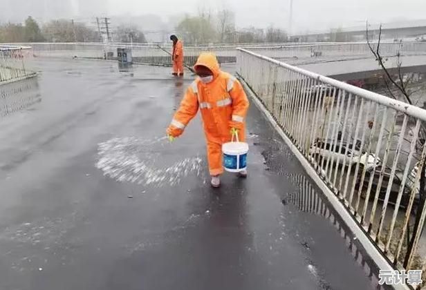 Win11系统图片浏览功能的关闭步骤与操作指南