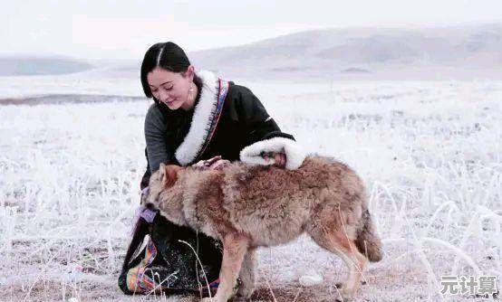 如何才能躲避狼群、龙卷风?救救大叔》给你答案! 如何才能躲避狼群、龙卷风?救救大叔》给你答案!