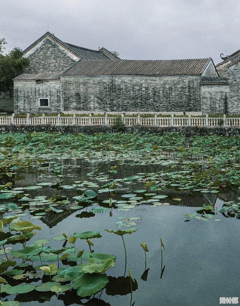 想在《疯狂老奶奶》里体验心跳加速的疯狂追逐吗? 想在《疯狂老奶奶》里体验心跳加速的疯狂追逐吗?