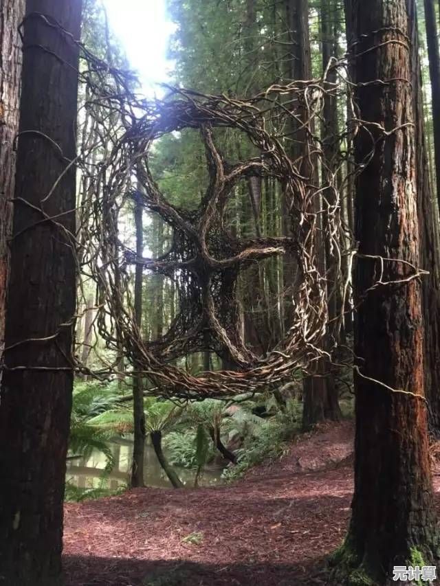 阴森森林中危机四伏,恐惧者森林》你能成功逃生吗? 阴森森林中危机四伏,恐惧者森林》你能成功逃生吗?