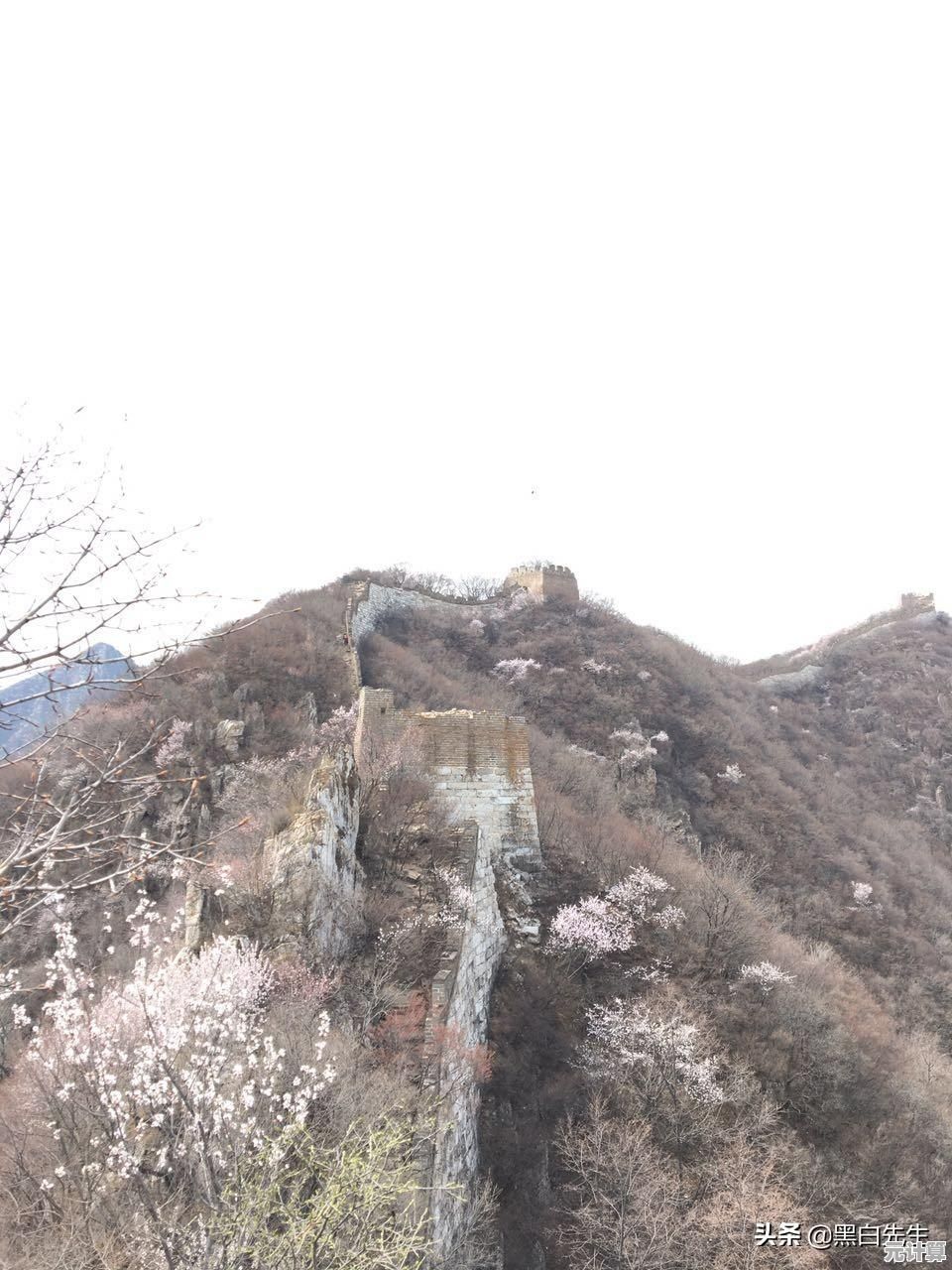 探索未来通信科技：5G芯片手机天梯图引领行业制高点之争