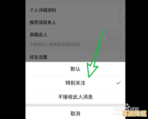 全面揭秘QQ轻聊版的独特优势及实用操作技巧,专业指南 全面揭秘QQ轻聊版的独特优势及实用操作技巧,专业指南