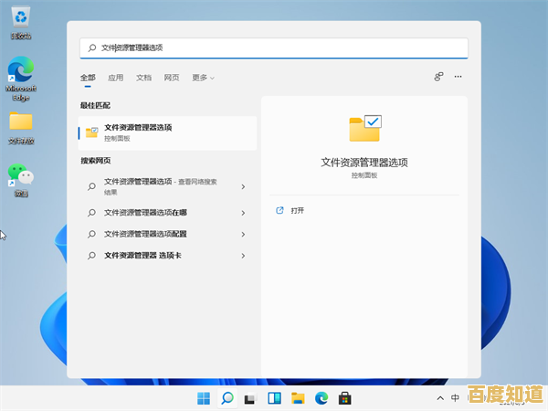 Windows 11系统如何显示文件扩展名：详细操作指南