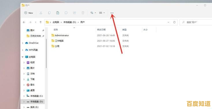 Windows 11系统如何显示文件扩展名：详细操作指南