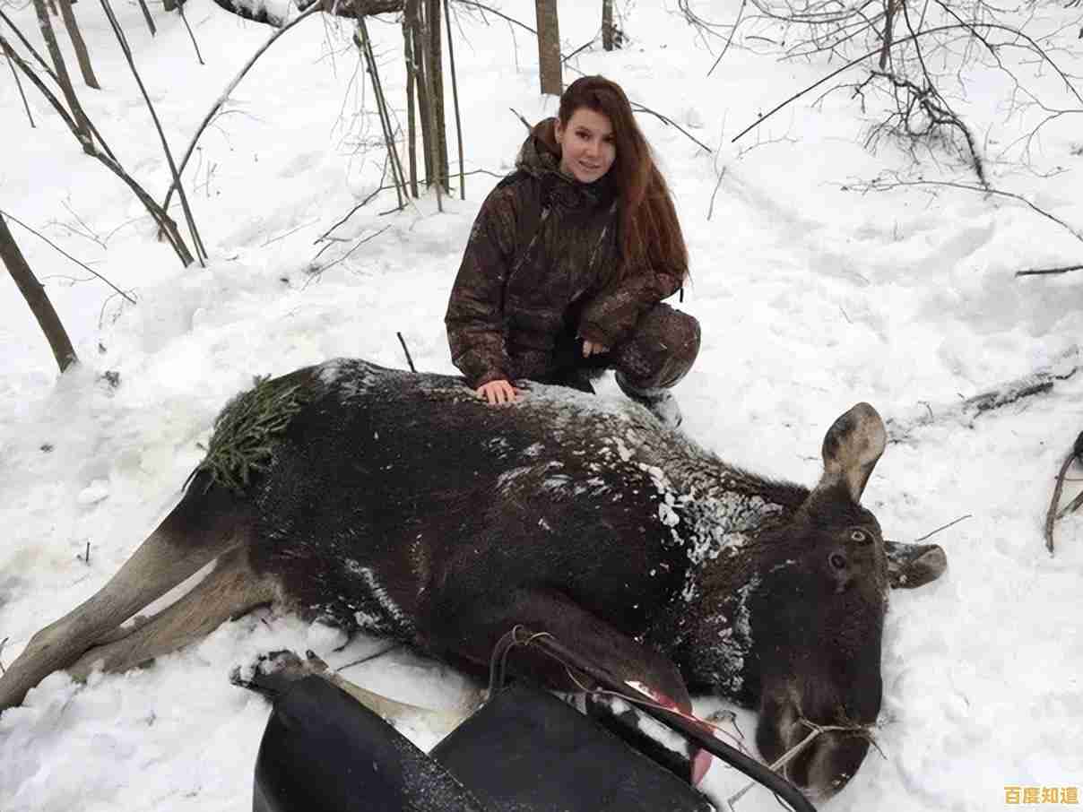 荒野猎杀挑战:探索自然法则,磨砺技艺,晋升传奇猎人殿堂! 荒野猎杀挑战:探索自然法则,磨砺技艺,晋升传奇猎人殿堂!