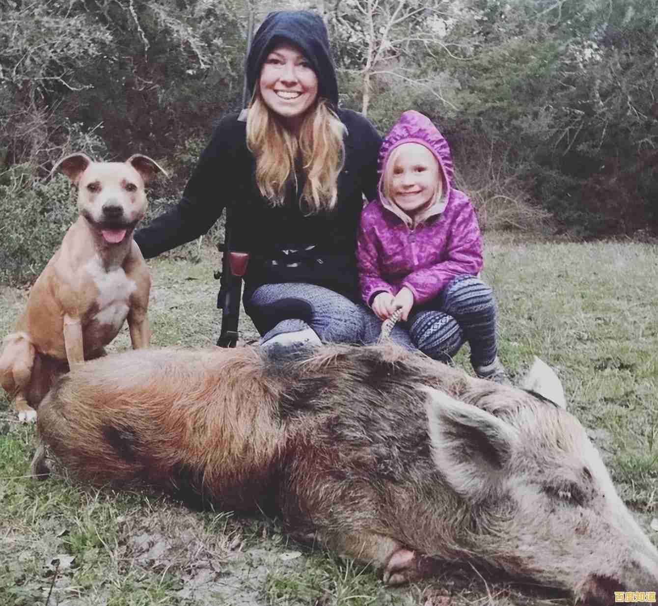 荒野猎杀挑战:探索自然法则,磨砺技艺,晋升传奇猎人殿堂! 荒野猎杀挑战:探索自然法则,磨砺技艺,晋升传奇猎人殿堂!