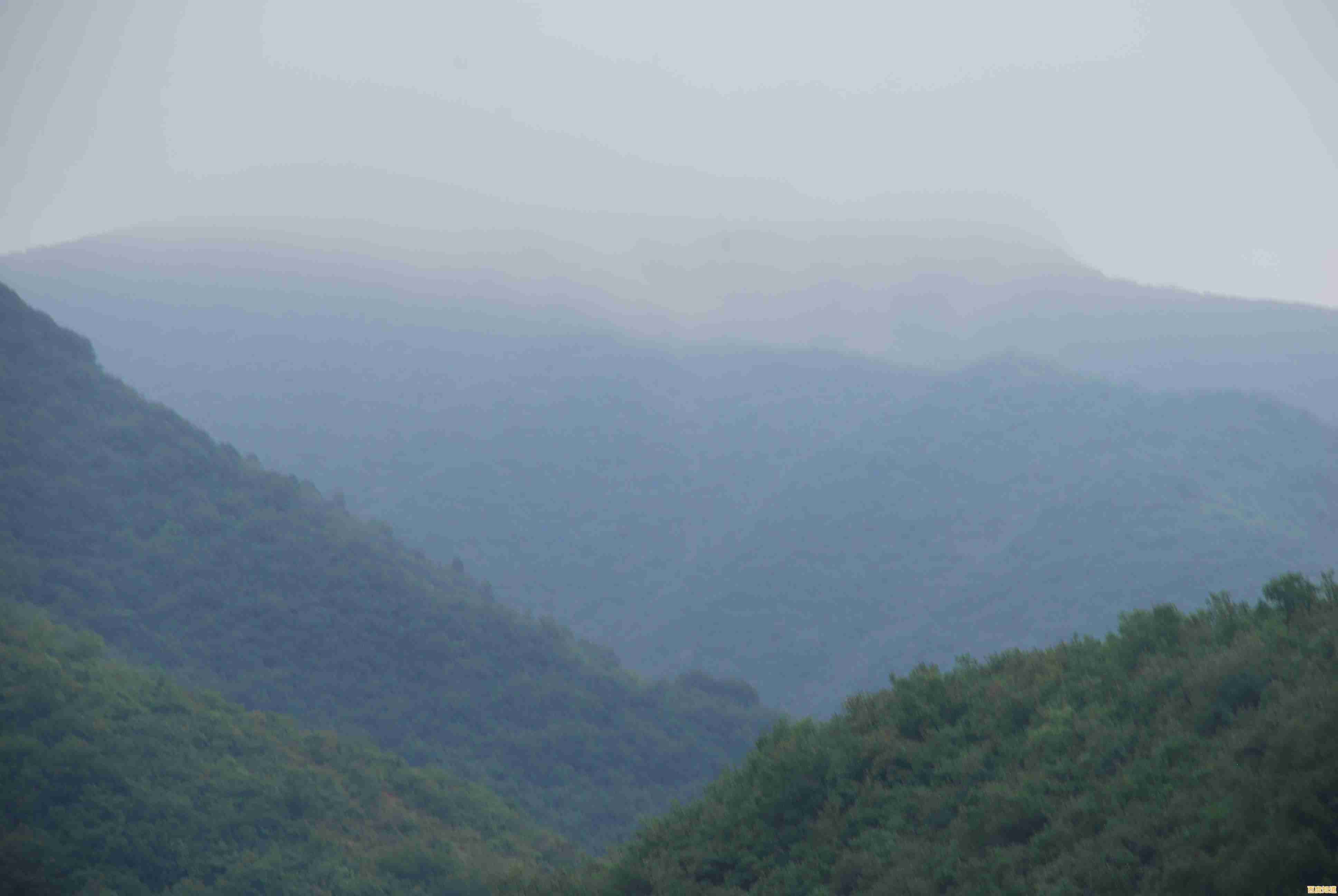 躲避与反击的艺术，谁能在《遗迹猎人叛军崛起》中脱颖而出？