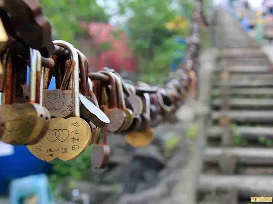 专业相机选购指南：借助天梯图精准定位，实现摄影技艺飞跃