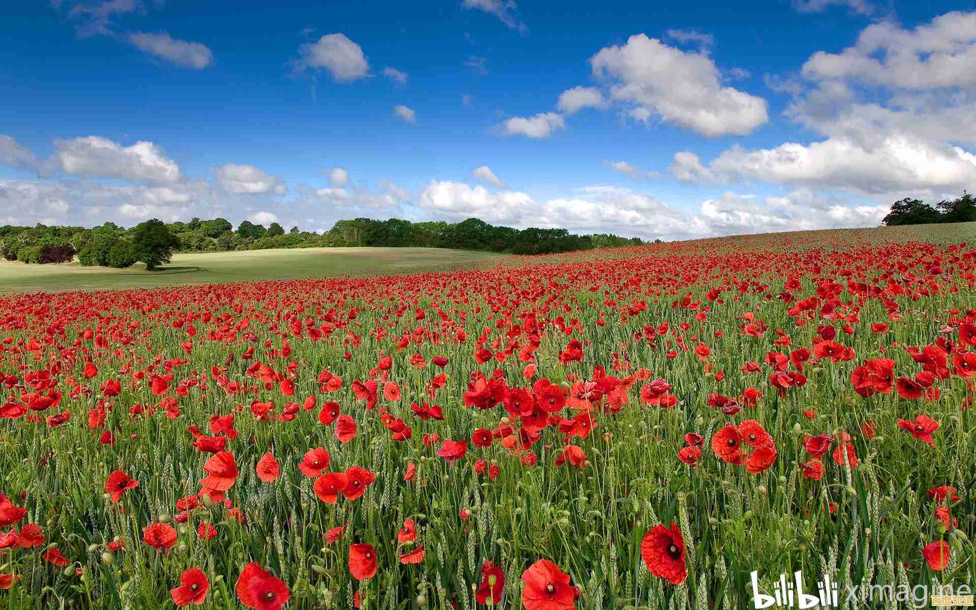 电脑墙纸精选:打造独特桌面风格,赋予您的数字空间全新活力! 电脑墙纸精选:打造独特桌面风格,赋予您的数字空间全新活力!