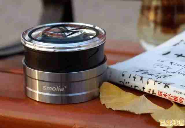 电脑放大镜:视力辅助与眼疲劳缓解的高效解决方案 电脑放大镜:视力辅助与眼疲劳缓解的高效解决方案