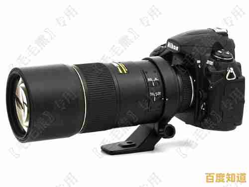 探索全画幅单反天梯图:快速定位最佳相机,提升摄影作品质量 探索全画幅单反天梯图:快速定位最佳相机,提升摄影作品质量