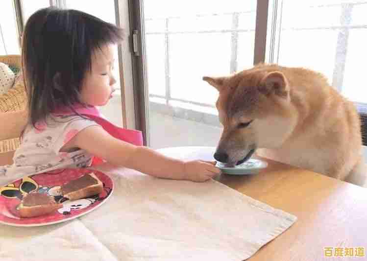 如何用柴犬守护世界?这款《柴犬部队》的基地玩法够独特吗? 如何用柴犬守护世界?这款《柴犬部队》的基地玩法够独特吗?