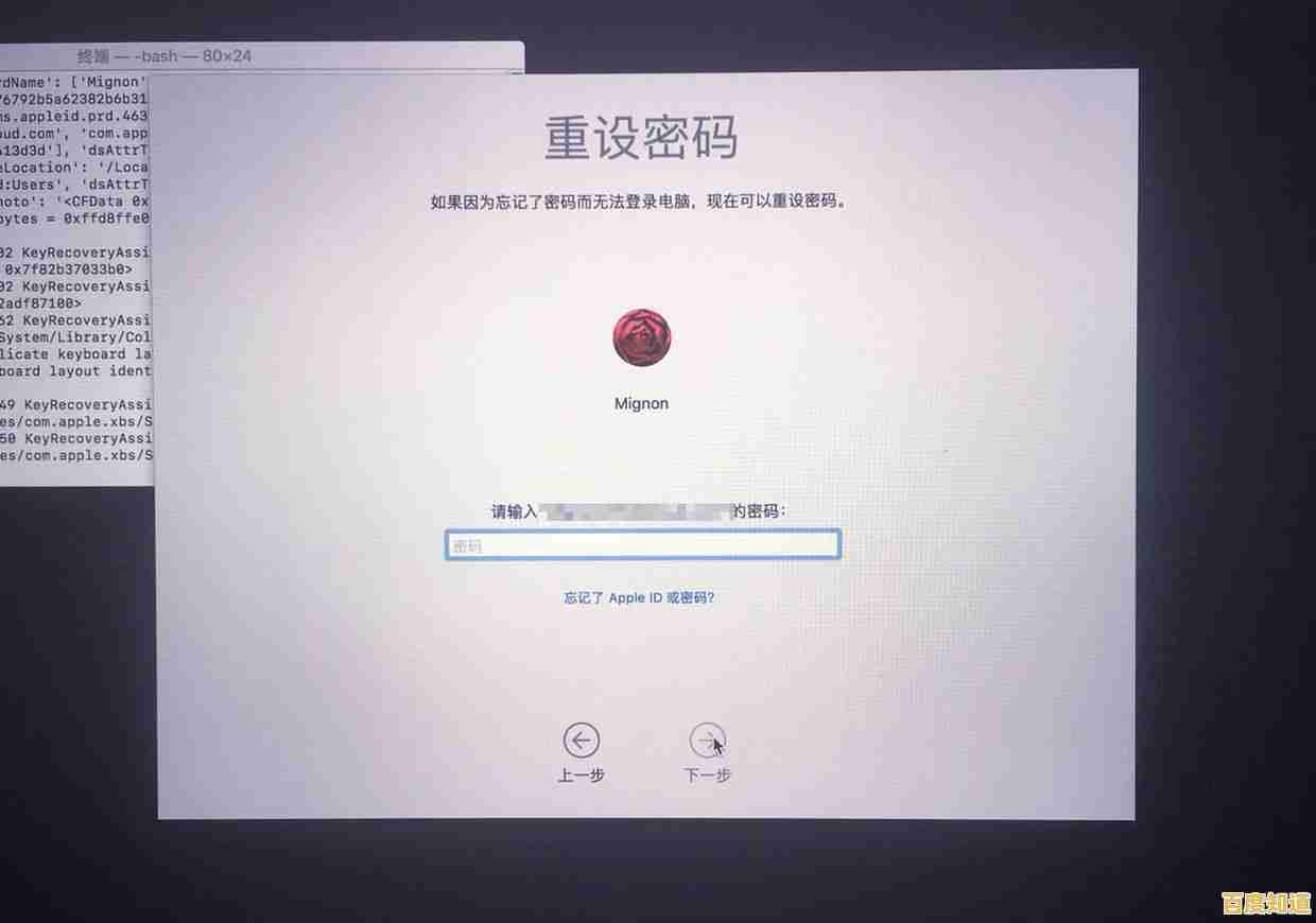 如何在Windows 11中彻底关闭开机密码保护功能 如何在Windows 11中彻底关闭开机密码保护功能