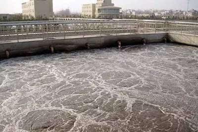 小白之家：全面解析各类疑问，助你从新手蜕变为行业专家！