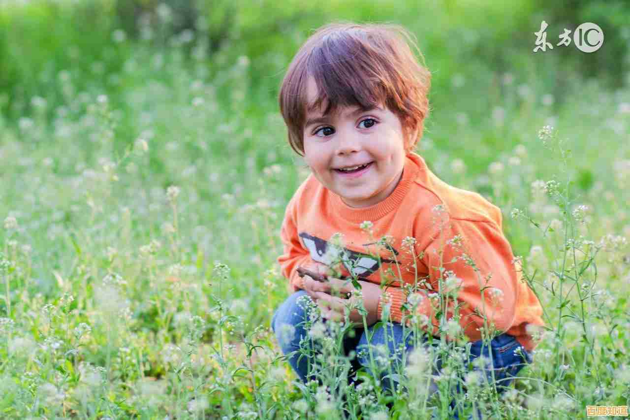 从幼年到生存大师,希望之村正版》的脑力挑战你敢接招吗? 从幼年到生存大师,希望之村正版》的脑力挑战你敢接招吗?