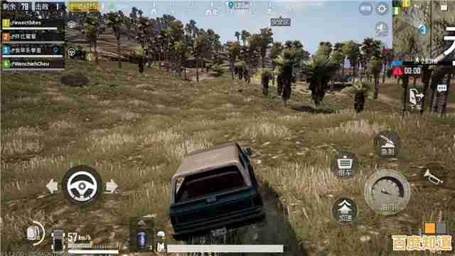 如何为Win11选择最佳屏幕缩放比例?详细解析与建议