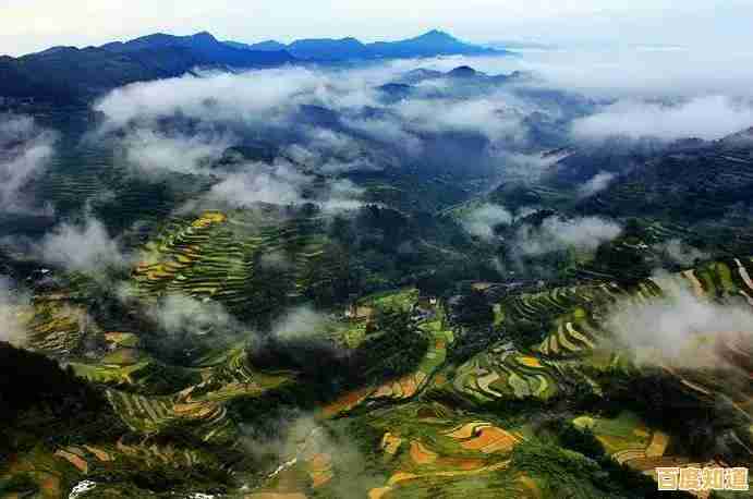 精选相机天梯图指南:助你找到完美设备,提升摄影创作体验!