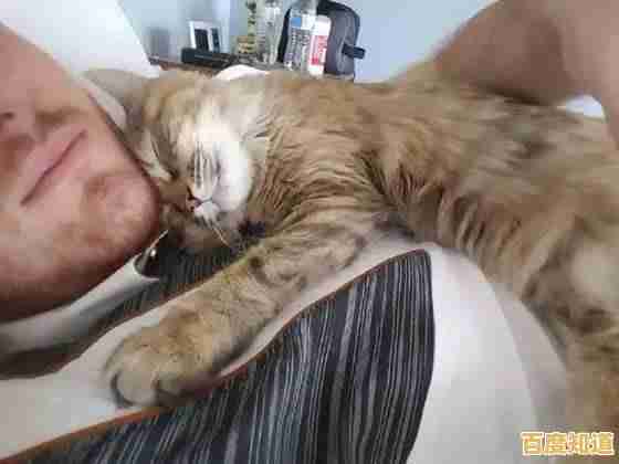 电脑闹钟:智能科技如何温柔唤醒您的每个清晨