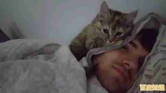 电脑闹钟:智能科技如何温柔唤醒您的每个清晨 电脑闹钟:智能科技如何温柔唤醒您的每个清晨