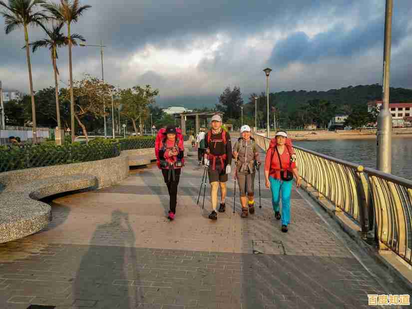 电脑系统重装不求人,小白用户快速上手软件操作指南