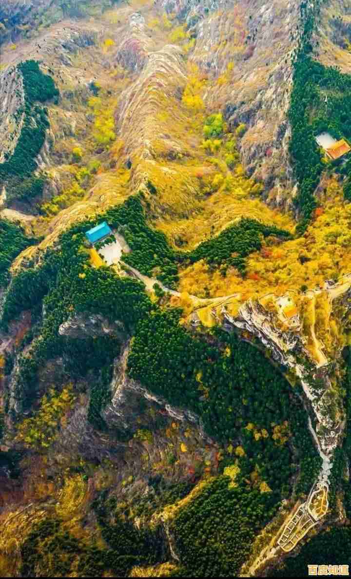 内存天梯图全解析：如何根据价格挑选高性价比内存条