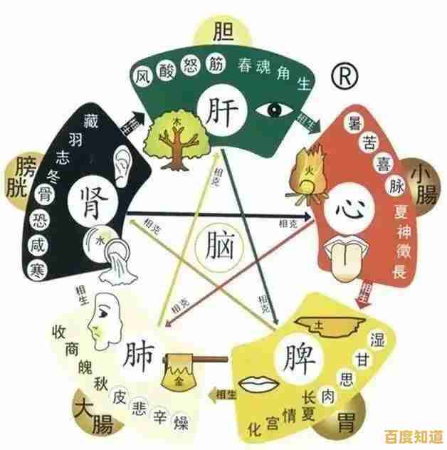 雨木林风养生精髓解析：中医智慧的核心秘籍与实用技巧