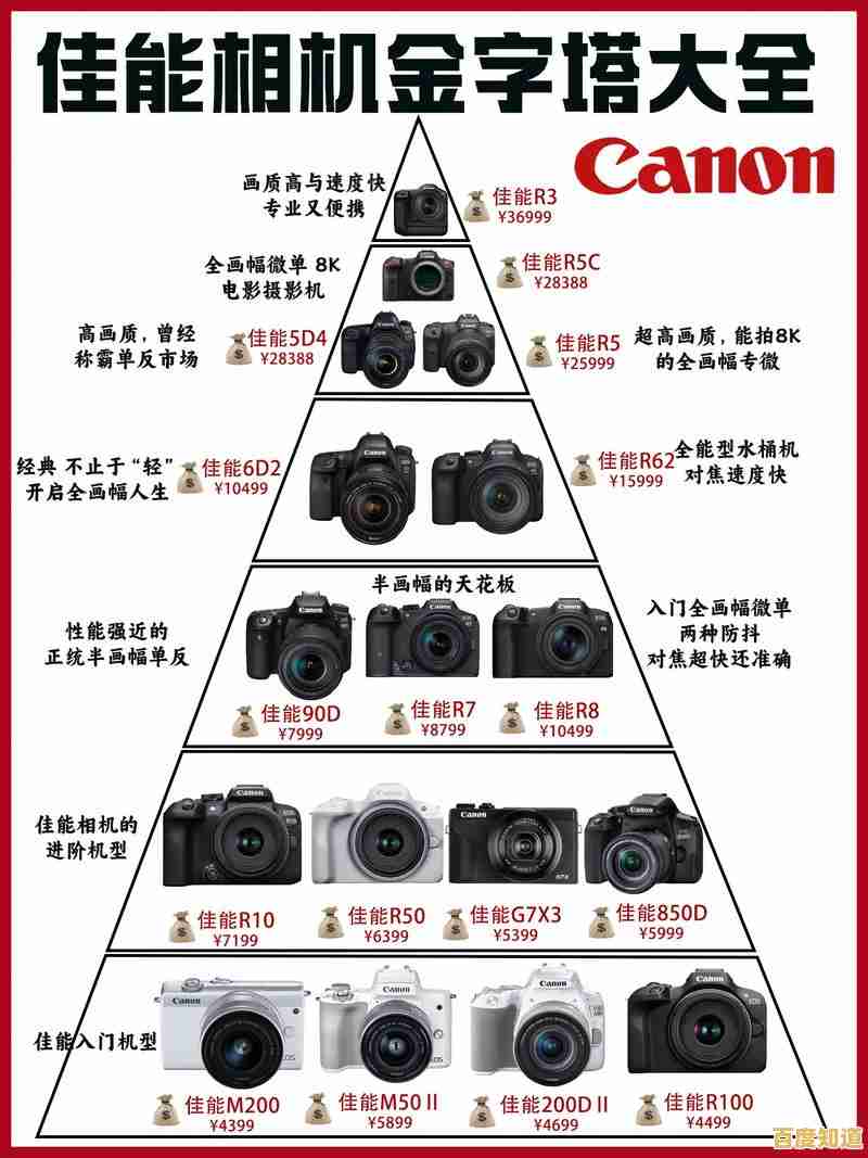 掌握相机性能天梯图：从数据到实际拍摄的全面解析