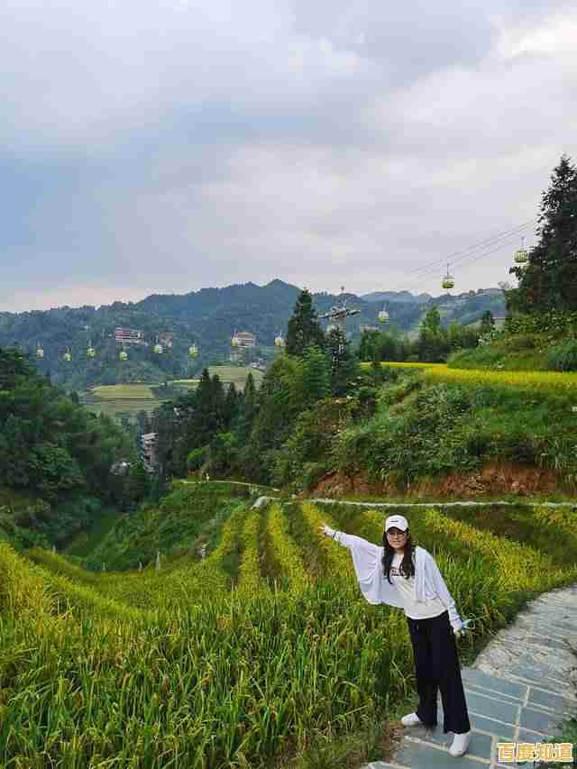 2022年全新移动显卡性能天梯图发布,笔记本显卡排行一网打尽! 2022年全新移动显卡性能天梯图发布,笔记本显卡排行一网打尽!