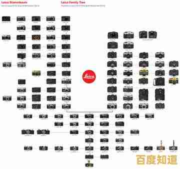 照相机品牌天梯图全解析,帮你轻松选对相机不再纠结! 照相机品牌天梯图全解析,帮你轻松选对相机不再纠结!