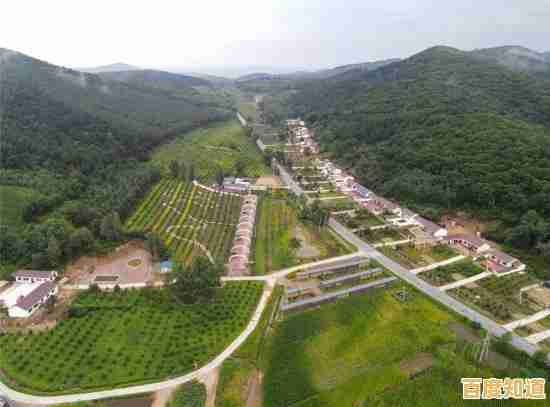 谁不想沉浸在这段诗意旅程中？依依》带你走进视觉小说新篇章！