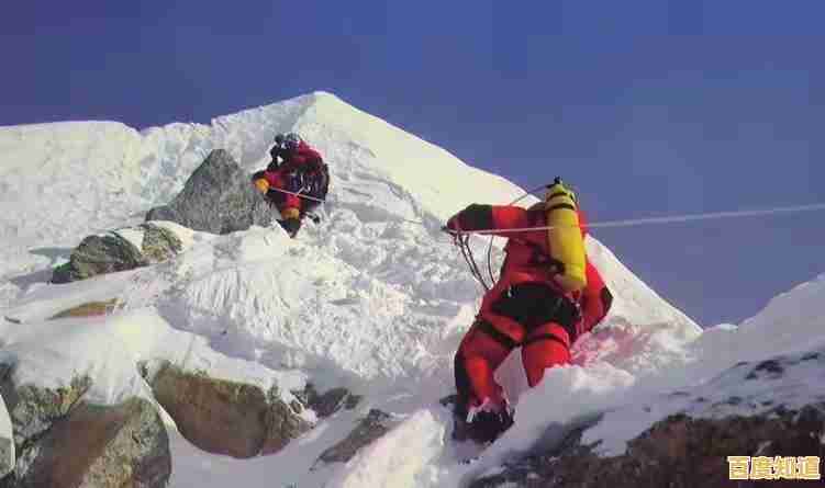 [x天梯图]无畏攀登，征服巅峰，翱翔天际之梦！