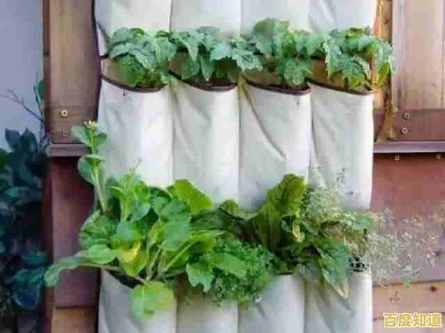 种花种菜还能做料理？角落萌宠农场》的治愈之旅你体验了吗？