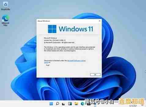 遇到Win11安装失败别慌张，实用修复方案全面解析