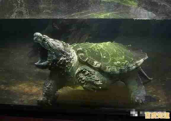 你体验过《动物餐厅》中用小鱼干赚金币，解锁趣味玩法的快乐吗？