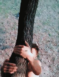 想挑战你的经营头脑?猫咪小吃店最新版》里调配合适口味送餐的乐趣试过没? 想挑战你的经营头脑?猫咪小吃店最新版》里调配合适口味送餐的乐趣试过没?