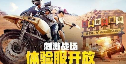 挑战印度玩家，争夺赛季排名！绝地求生印度服》还不快来下载？