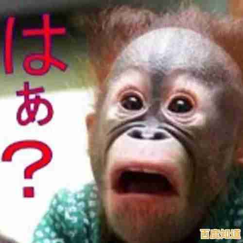 还在寻找打发时间的好游戏?会说话的胡安让你和萌宠对话不无聊! 还在寻找打发时间的好游戏?会说话的胡安让你和萌宠对话不无聊!